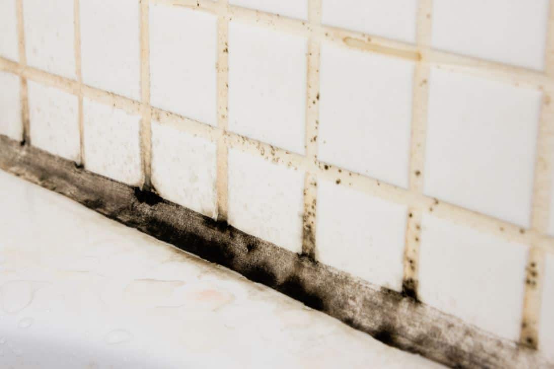black mould on bathroom wall tiles in a dirty bathroom
