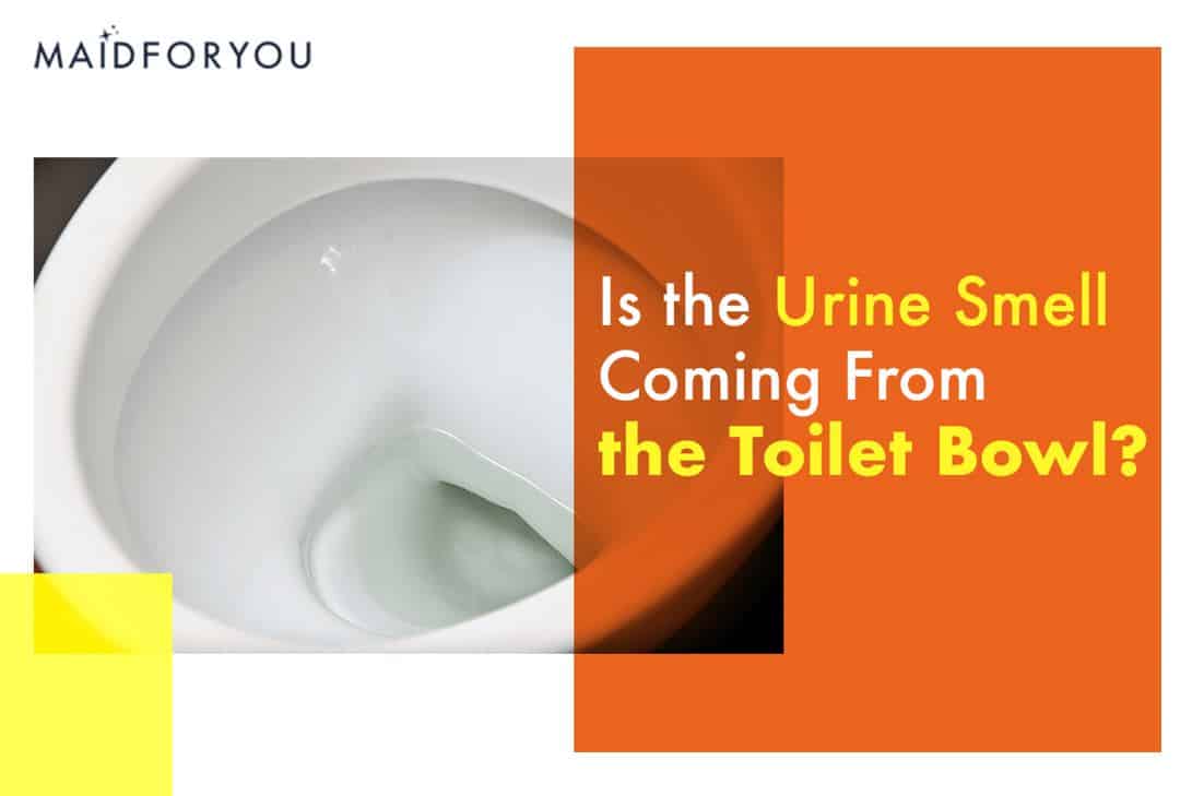 is the urine coming from the toilet bowl custom graphic
