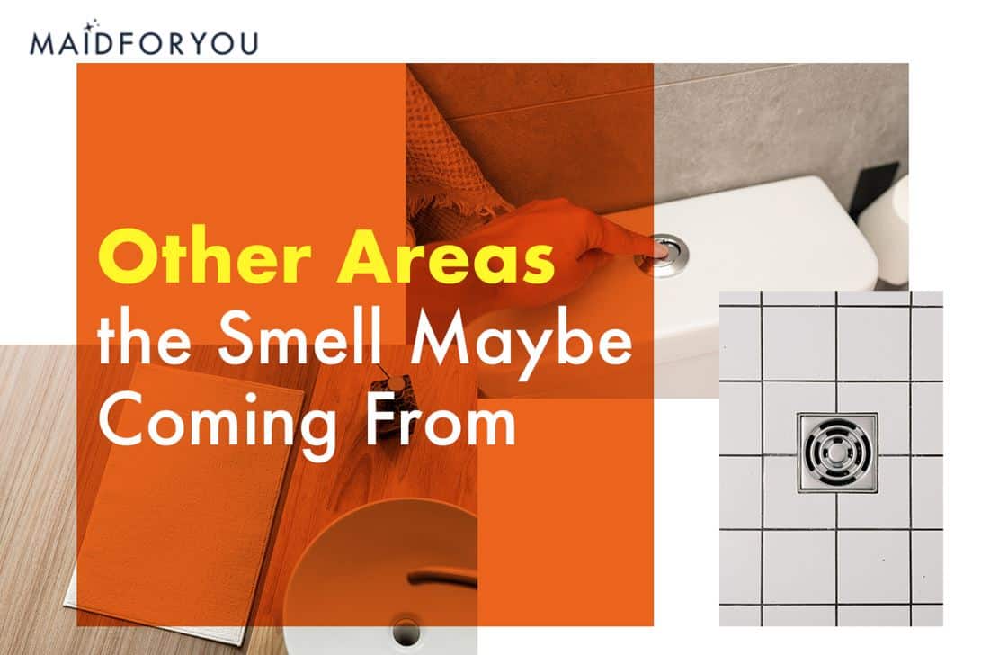 other areas the smell maybe coming from custom graphic