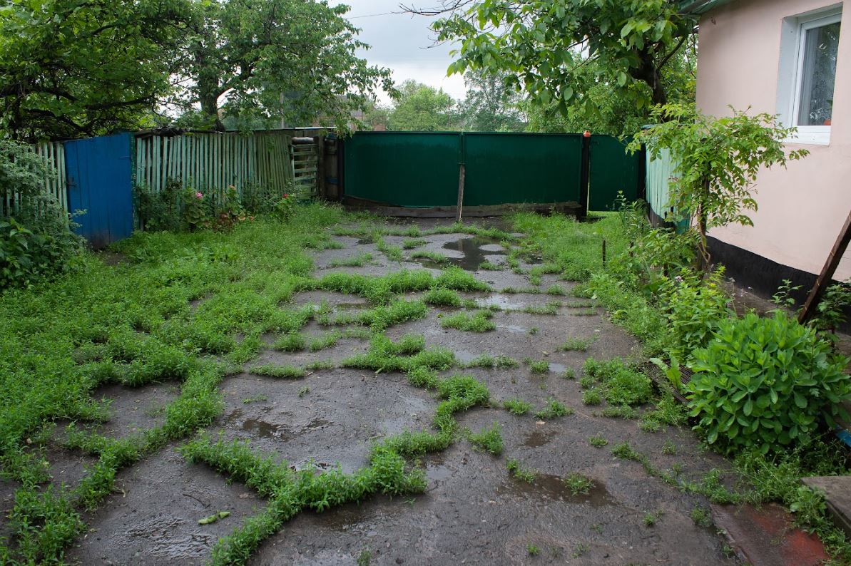 heavily overgrown driveway with lots of weeds