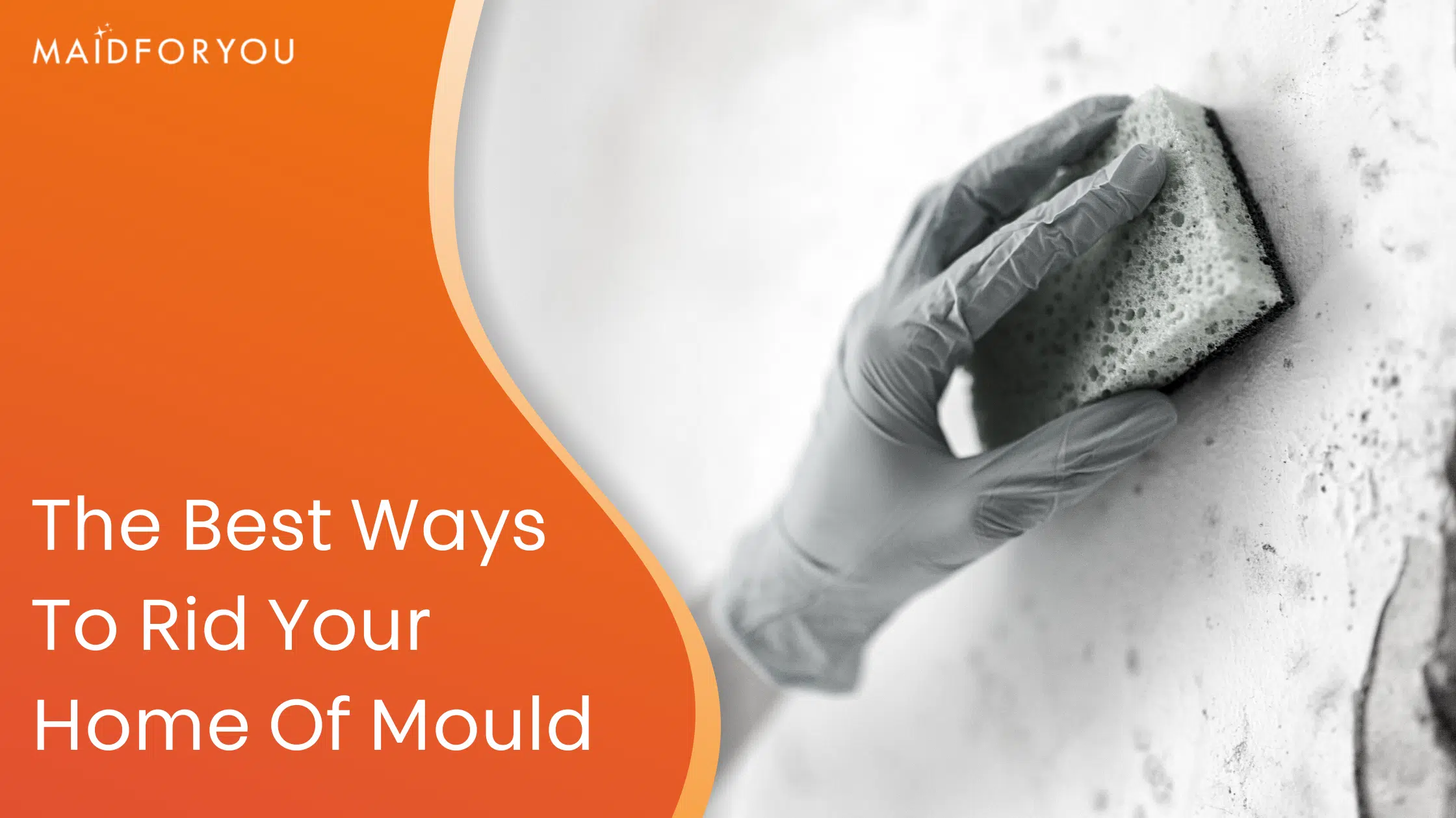 The best ways to rid your home of mould custom graphic