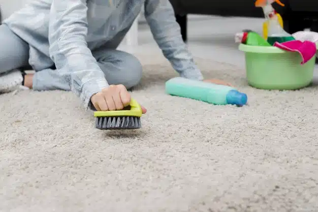 close-up-woman-brushing-carpet