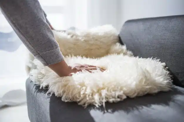 Home real estate furniture concept male decorating rug sofa