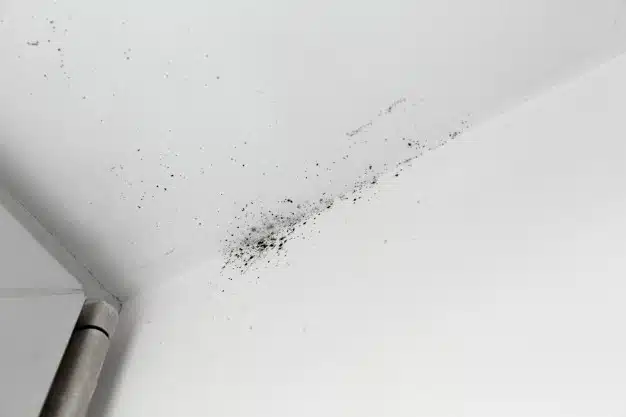 Mold corner window wall