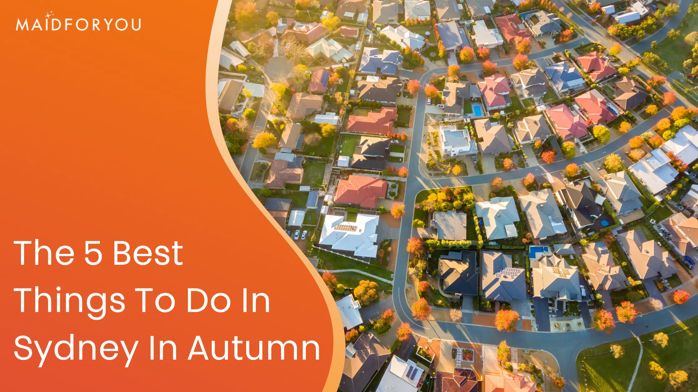 the 5 best things to do in sydney in autumn custom graphic