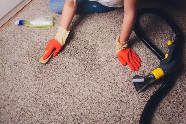 woman-protective-glove-cleaning-carpet-with-brush