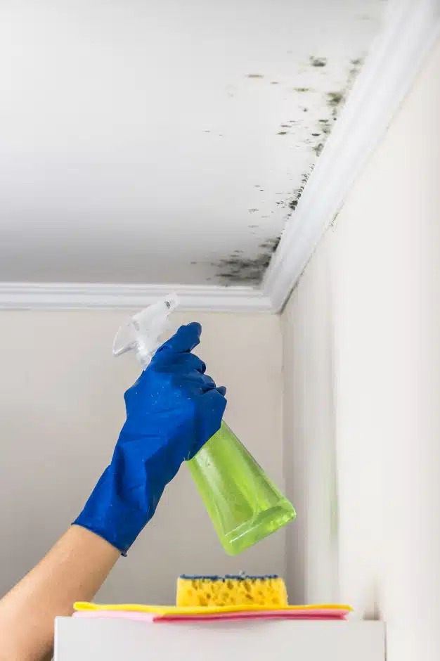 Removing mold from living accomodation