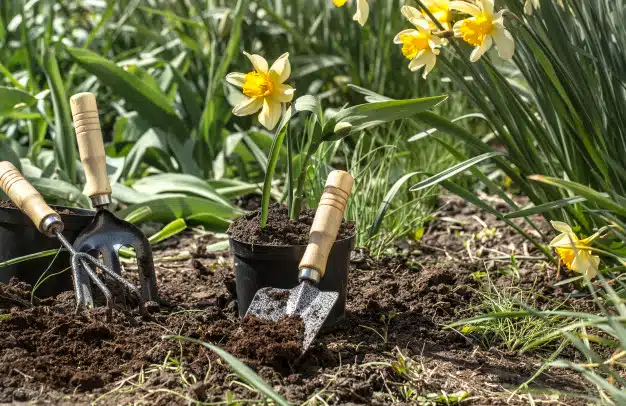 Planting flower ganrden