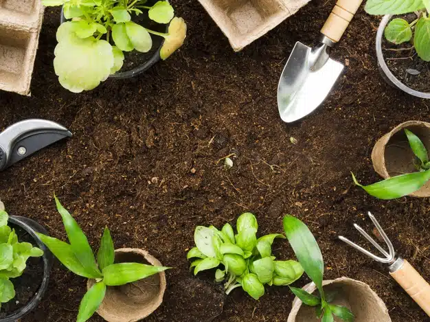 Top view gardening tools