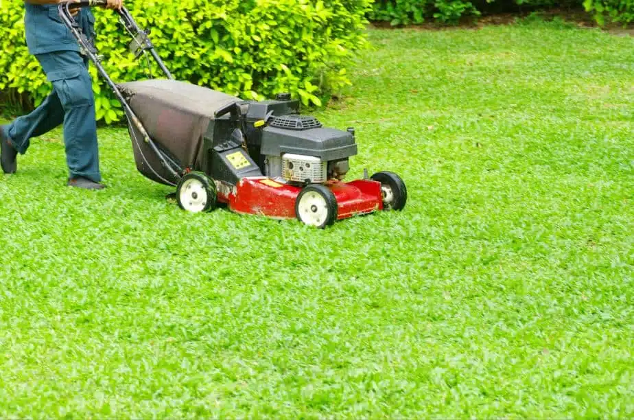 man doing lawnmowing in a large backyard