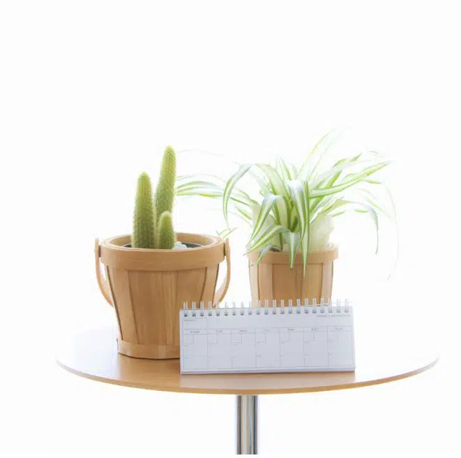 calendar leaning against two indoor house plants on a wooden table