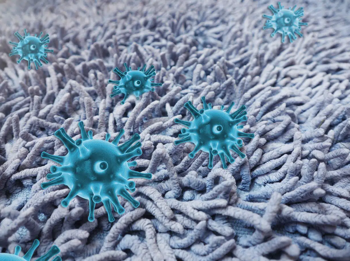microscopic render of germs living in carpet fibre