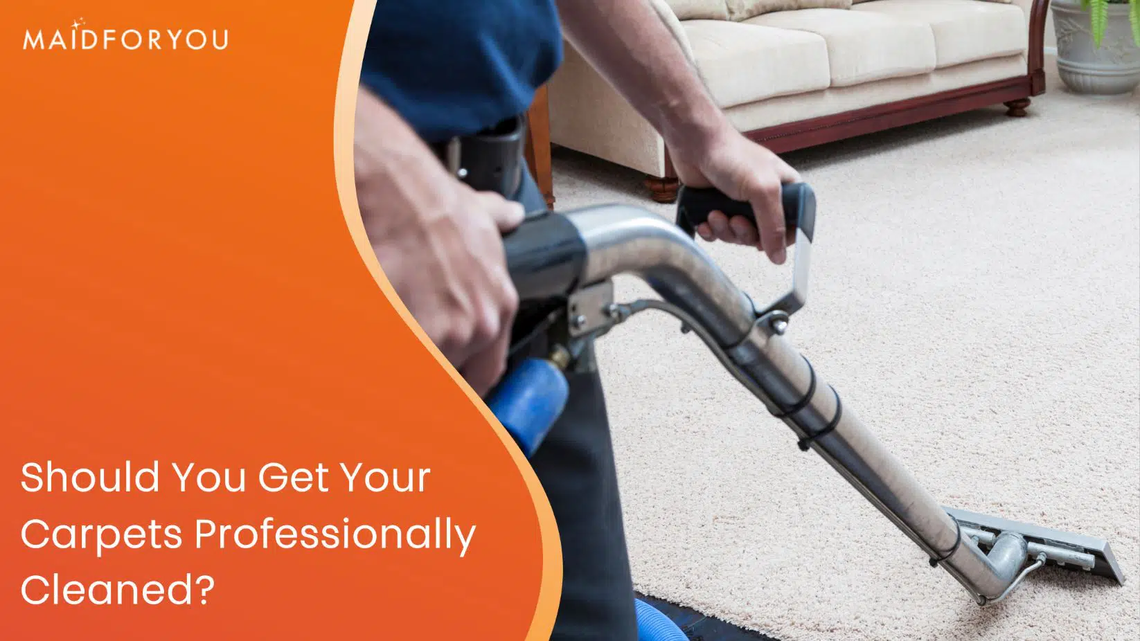 should you get your carpets professionally cleaned custom graphic