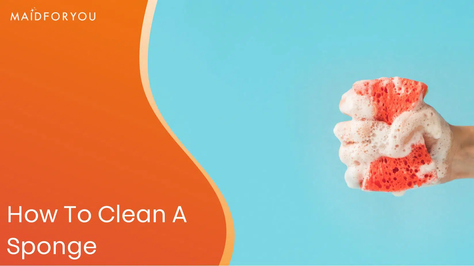 how to clean a sponge custom graphic
