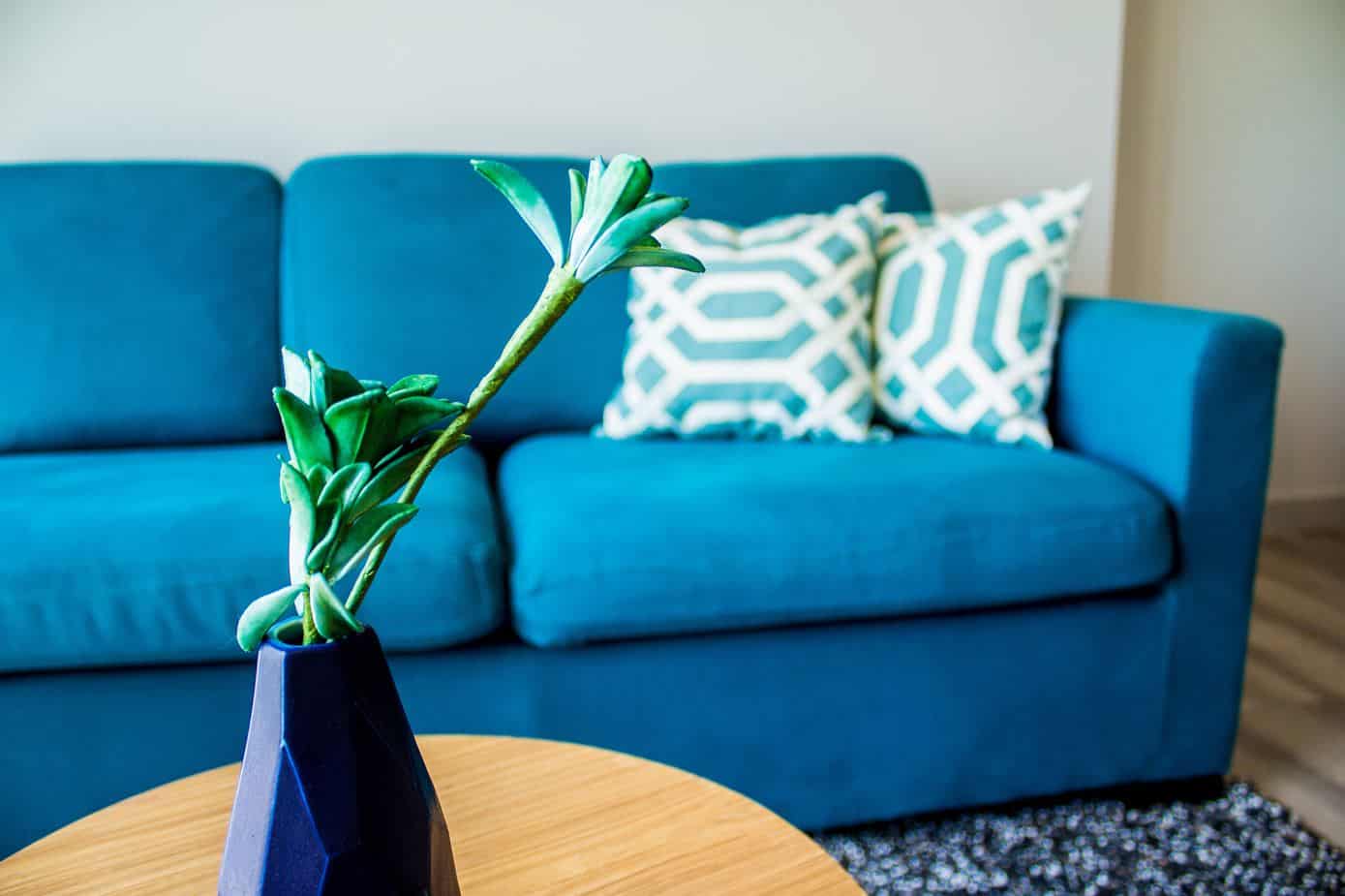 small plant in a blue vase on a coffee table with a blue upholstered three seater couch in the background