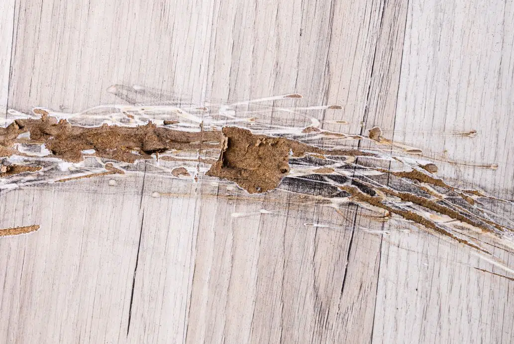 white laminate floor that has been heavily scratched showing the underneath of the laminate