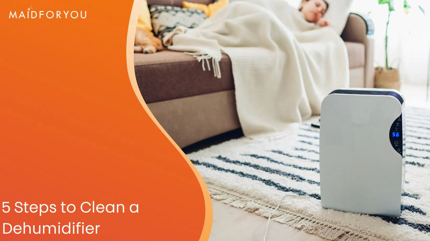 5 steps to clean a dehumidifier custom graphic