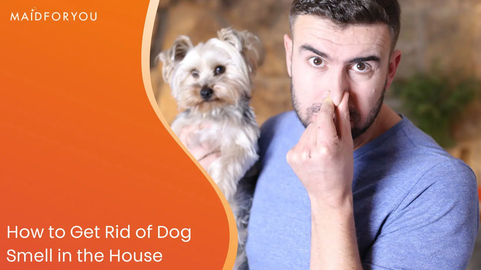how to get rid of dog smells in your home custom graphic