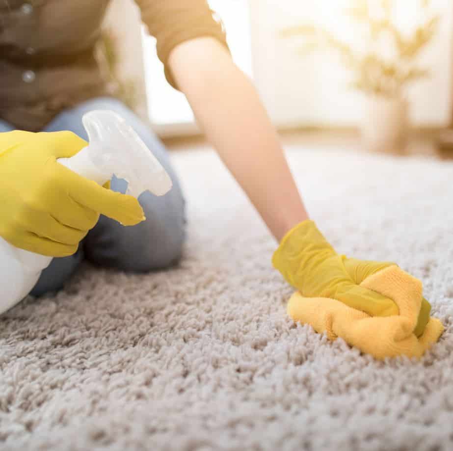 woman wearing rubbger gloves and holding a microfibre cloth cleaning wax from plush white carpet