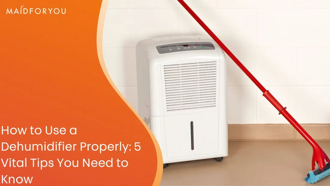 how to use a dehumidifier custom graphic