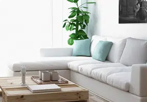 Bedroom, Living Room and All Common Areas Close up of modern clean lounge room