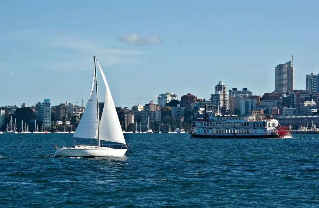 white sail boat in Sydney harbour
