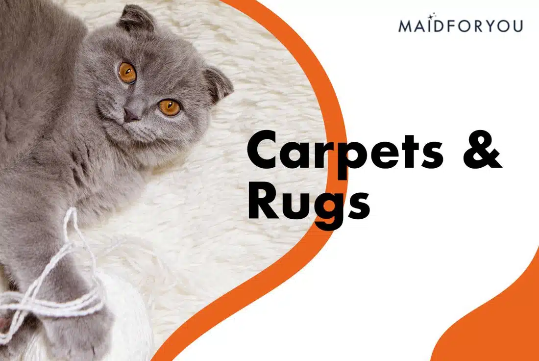carpets and rugs custom graphic