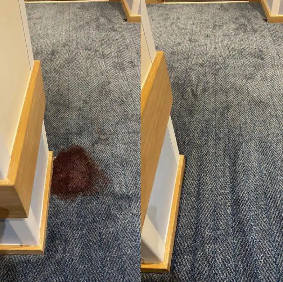Contrasting photo of a blue carpet before and after carpet steam cleaning.