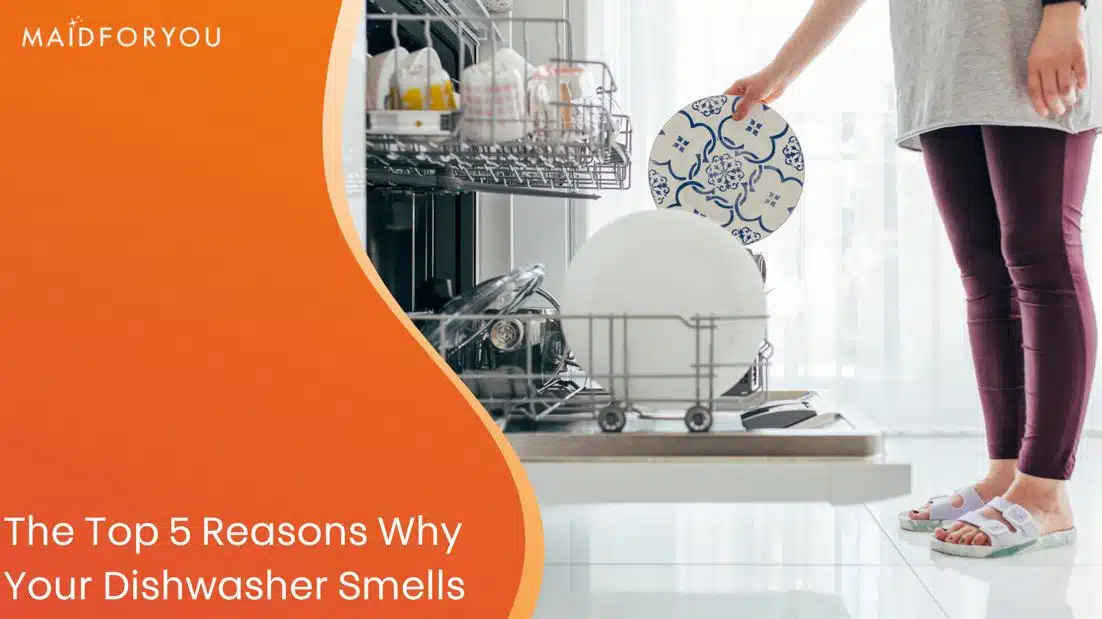top 5 reasons why your dishwasher smells custom graphic