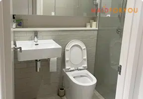 Bathroom Area Close up of toilet after being cleaned
