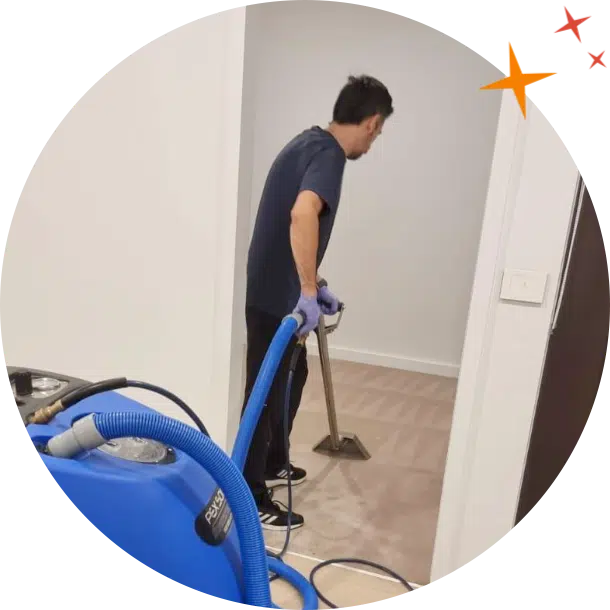 Maidforyou cleaner jonathan steam cleaning carpets
