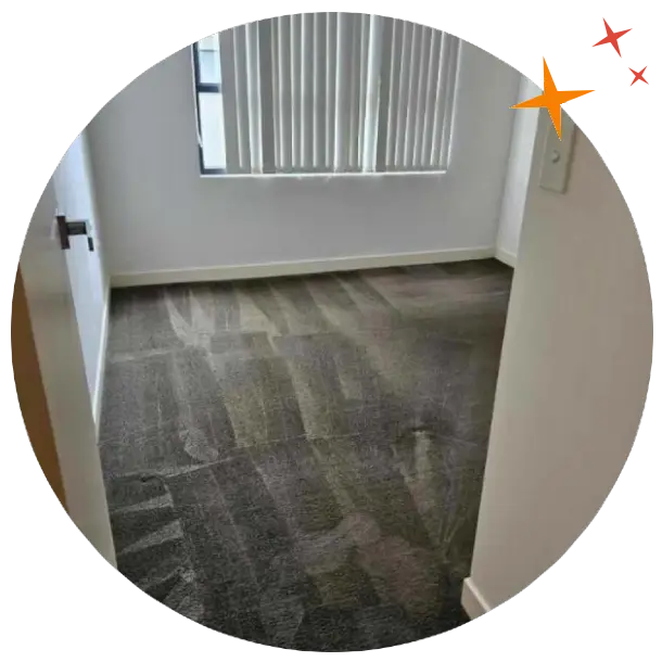 dark blue carpet with wand marks after being steam cleaned