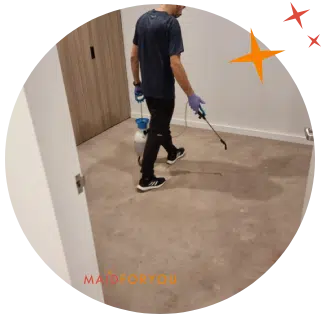 Jonathan pre-treating carpet before carpet cleaning