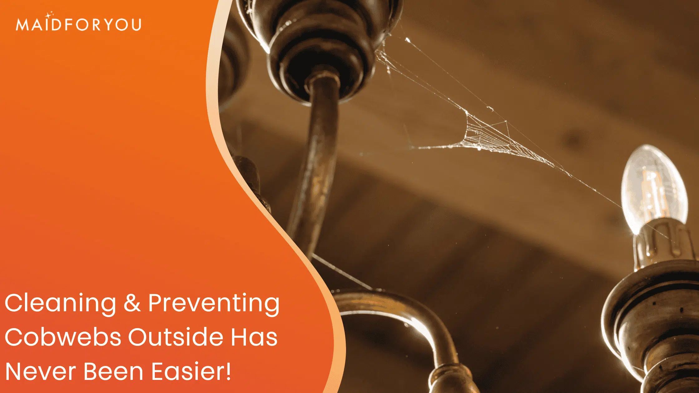 Cleaning & Preventing Cobwebs Outside Has Never Been Easier! blog customer graphic