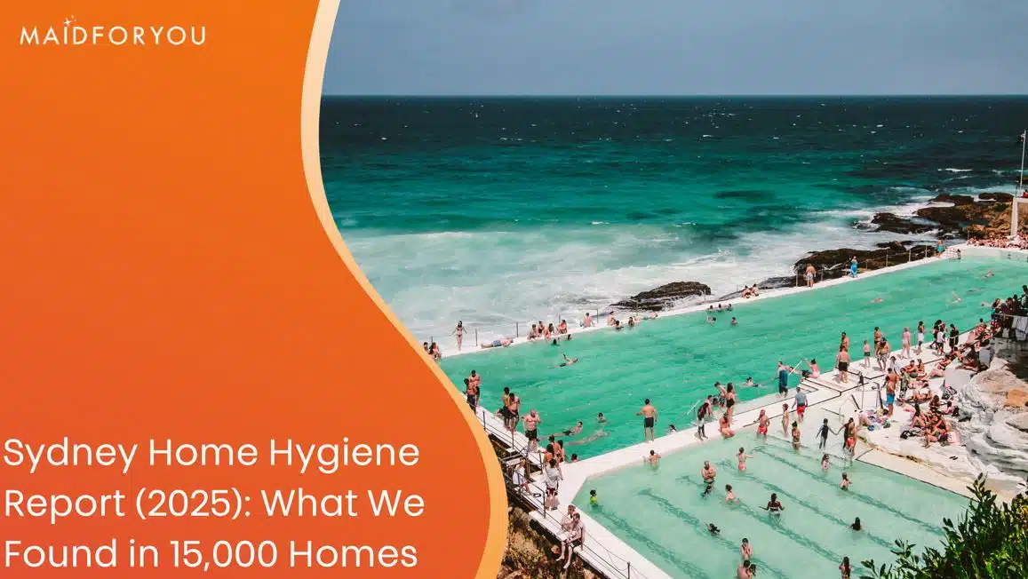 home hygiene report custom graphic